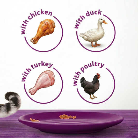 Whiskas Poultry Feasts Wet Cat Food