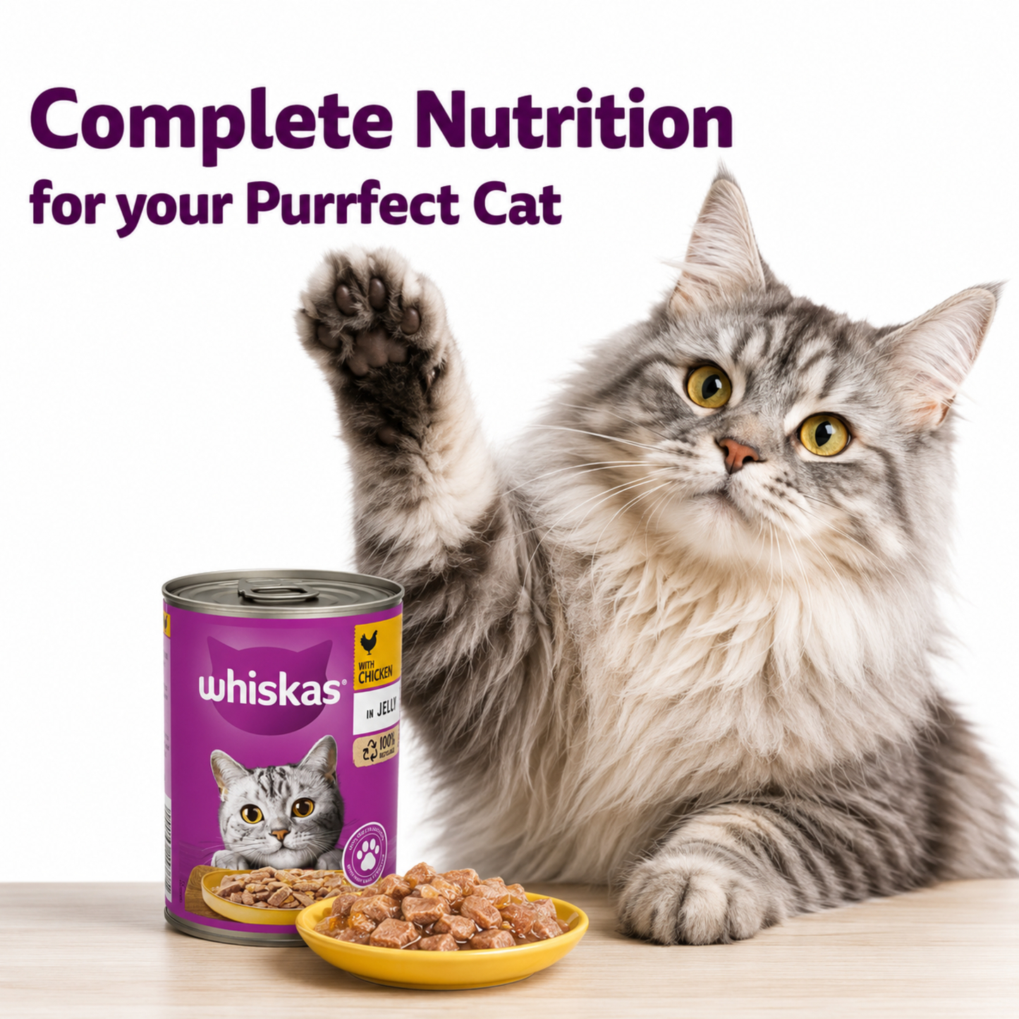 Whiskas Wet Cat Food Jelly Tin Chicken Flavor 400g