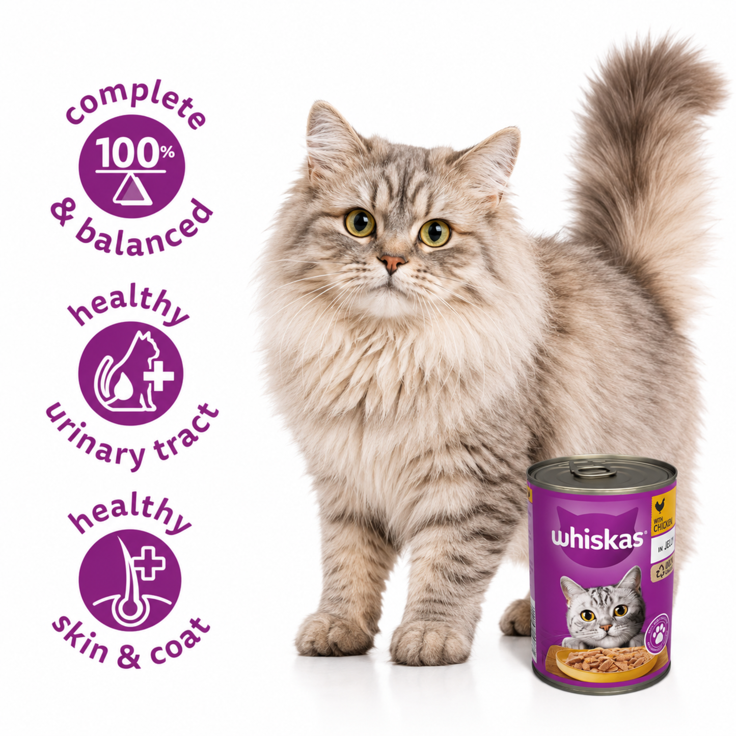 Whiskas Wet Cat Food Jelly Tin Chicken Flavor 400g