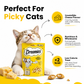 Dreamies Cat Treats Cheese Flavour