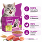 WHISKAS Kitten Wet Cat Food