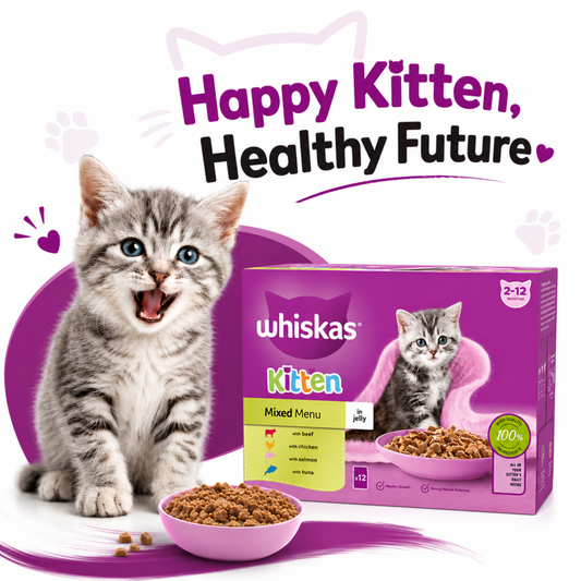 WHISKAS Kitten Wet Cat Food