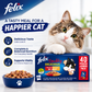 Felix Doubly Delicious Wet Cat Food Pouches