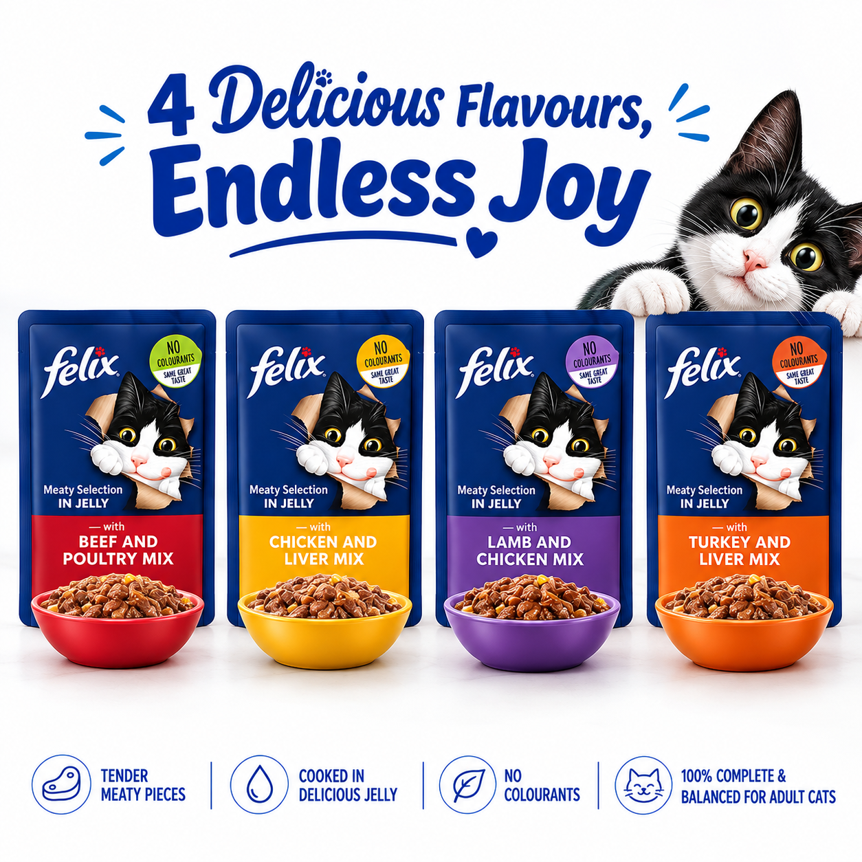 Felix Doubly Delicious Wet Cat Food Pouches