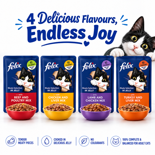 Felix Doubly Delicious Wet Cat Food Pouches